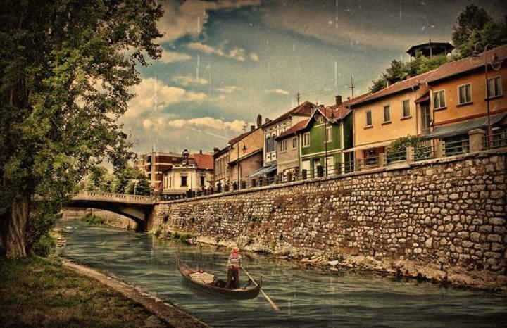 Privatan Smestaj Knjazevac ภายนอก รูปภาพ